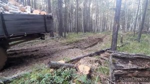ДОРОГА В ЛЕС ЗА ДРОВАМИ