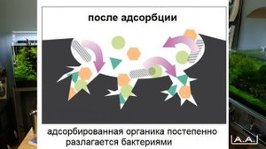 Фильтрация в аквариуме часть 2 ADA