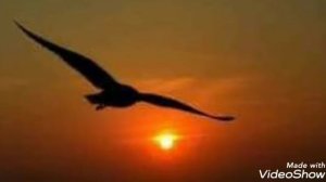 Эй,моряк ,ты слишком долго плавал.