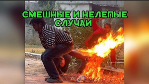 Смешные и нелепые случаи которые поднимут вам настроение