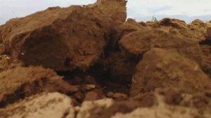 Пчн 4.0 светлоградский чизельный плуг