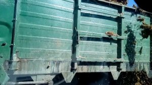 Погрузка силоса. Работа