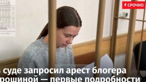 Почему арестовали Сашу Митрошину. Блогеры за решеткой