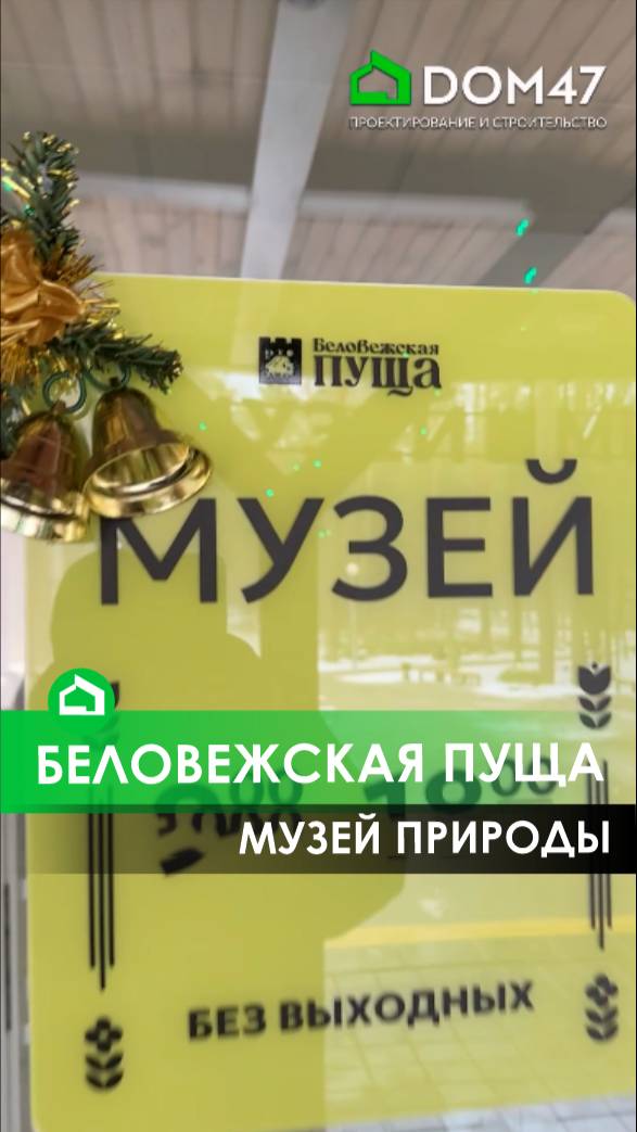 Музей природы в Беловежской пуще