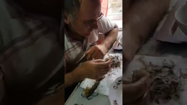 Было очень вкусно.Сьели всю рыбу.Рыба жаренная с зеленым луком получилась сочная,на любителя👍