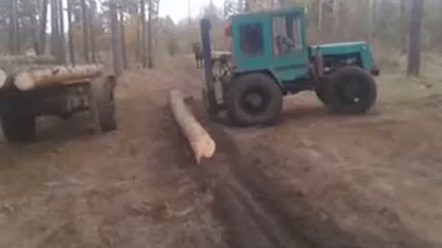 Трелевкеа и погрузка смотреть онлайн