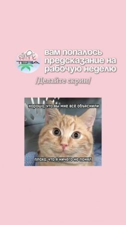 Хорошей недели, коллэги😏