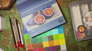 Гамма студия карандаши цветные