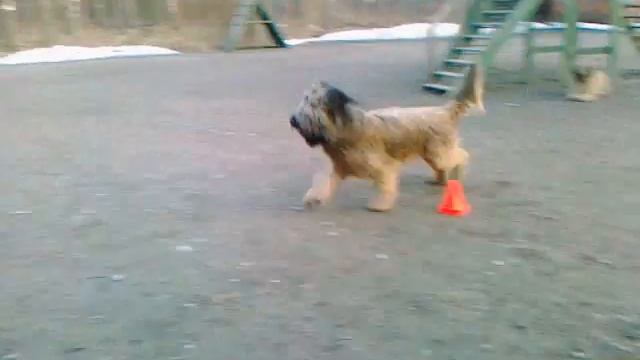 обегание конуса.mp4 смотреть онлайн