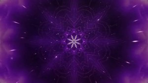 Sajanka & Whiteno1se - Anima Mea