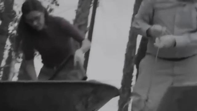 ИСТОРИЯ ГРЕГА ХОЛМАНА