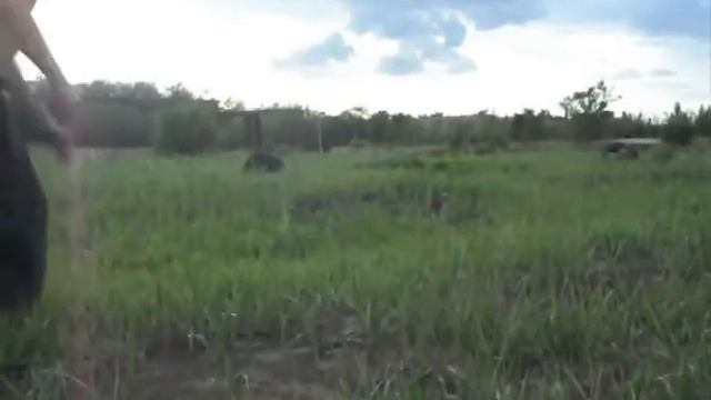 ПАРКУР КАРАГАНДА  SHOCK