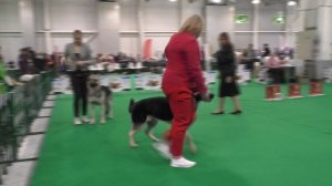 Сравнение класса юниоров