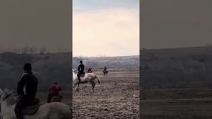 Ростов-на-Дону Улак 06.03.2024 жыл. Камчы Балбан