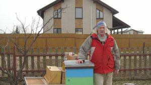 Даем пчелам подкормку и ставим полоски от клеща