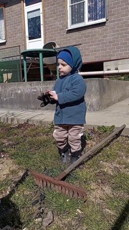 зачистка клубники после зимы