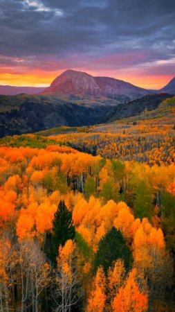 #сша #лес #горы #закат #небо #природа Стиль 🔥 Поддержи подпиской!