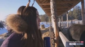 «Тольятти в деталях» 31.12.2020