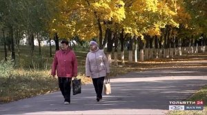 Короткий обзор ("Новости Тольятти" 29.10.2020)