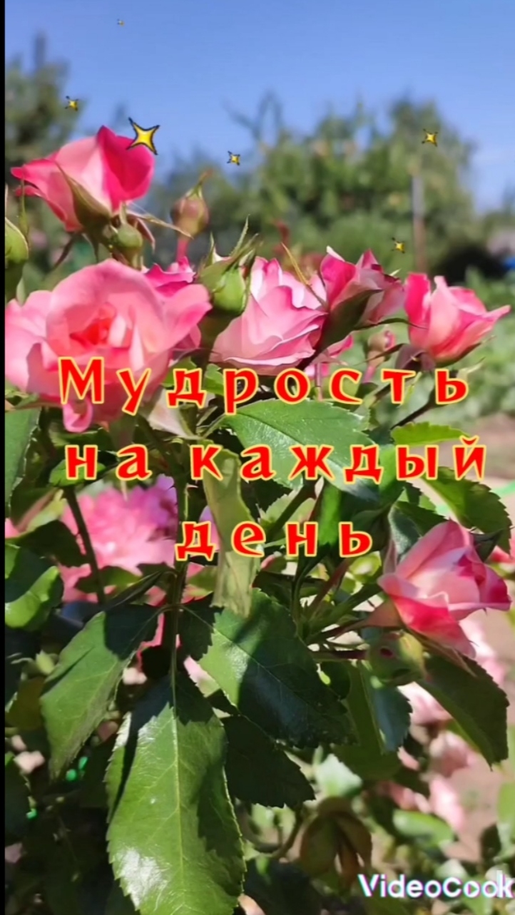 ПЕСНИ НА КАССЕТЕ...