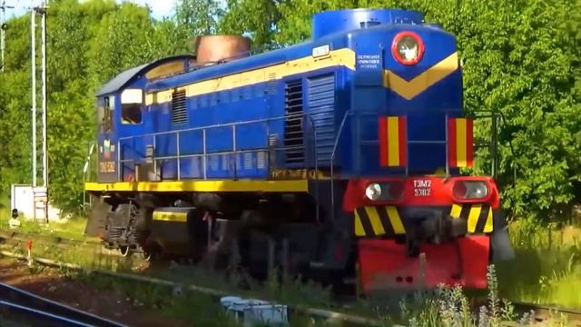 Учим поезда для детей. Викторина угадай поезд. смотреть онлайн