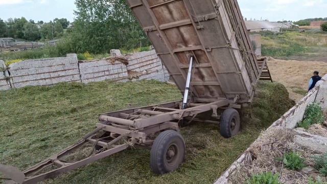 Видели как закладывают сенаж? #сенаж #работавдеревне #сезон2023 #корма #чувашия #сезон2023 #МТЗ