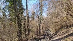 Хорошая дорога