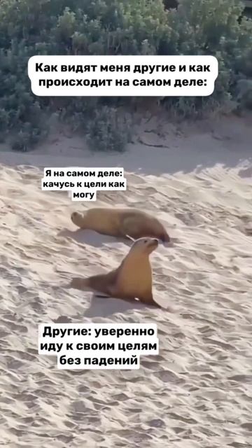 Подписывайся и скачивай чек-лист «Как выйти на доход 500К+» по ссылке в комментариях ⬇️ #shorts смотреть онлайн