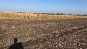 JOHN DEERE 6130D Gaspardo