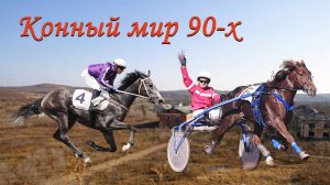 Богуславские бега и скачки лошадей