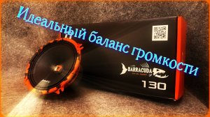 Обзор Эстрадной акустики DL Audio ™ Barracuda 130 мм