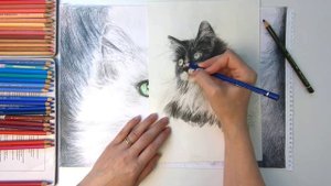 Как рисовать черных кошек часть 1