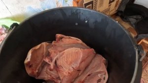 Солим рыбу сырым посолом