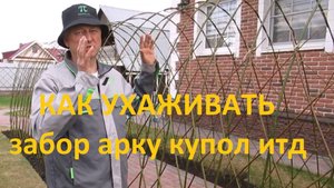 ПАВИВА  Уход за Живой изгородью из ивы, беседка, туннель ,арка, плетёные деревья ,купола.