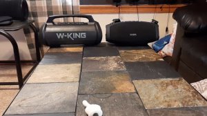 NEW! W-King D10 😻 Bluetooth Speaker is out! Review and Comparison to W-King X10. Battle of the 10's