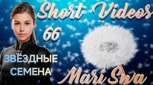 ЗВЁЗДНЫЕ СЕМЕНА И ИХ ПРОБЛЕМЫ. Кратко 66. Часть 2. Частотная несовместимость. 10.03.2025 #марисва