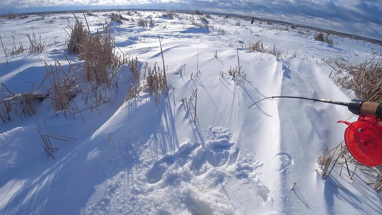 ТУТ СРЕДИ ПОЛЯ ТРОСТНИКА, щука и окунь ХВАТАЕТ балансир. Рыбалка зимой