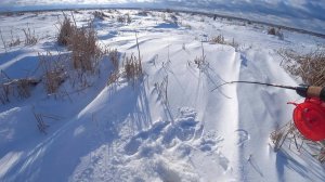 ТУТ СРЕДИ ПОЛЯ ТРОСТНИКА, щука и окунь ХВАТАЕТ балансир. Рыбалка зимой