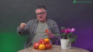 Лучшие сорта. Найти, испытать и сохранить !