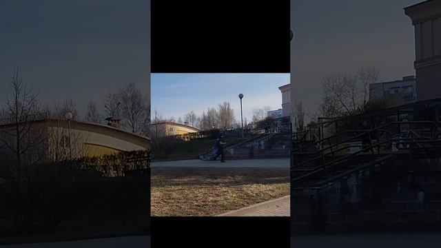 Шерхан и разговор о спасеныше Тайсоне из Земли Прайда Москва  Сотрудники ЗОО заботятся обо всех!