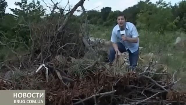 Свалка скрывшаяся в камышах