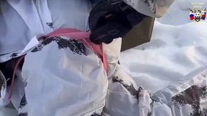 Хороший жгут или лучший?