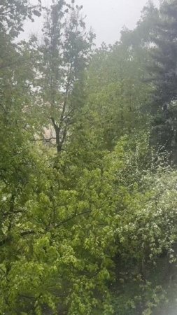 Snowy Summer in Moscow