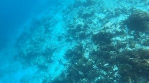 344 Укулхас Мальдивы суша+снорклинг