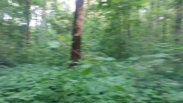 Трель соловья. смотреть онлайн