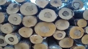 камаз фискар 43118   1 день   1 рейс на вывозке леса