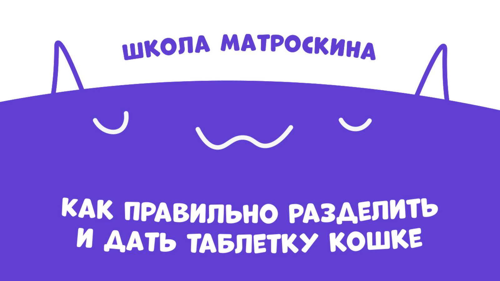 Школа Матроскина. Как правильно разделить и дать таблетку кошке?