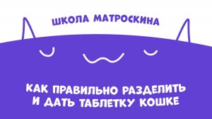 Школа Матроскина. Как правильно разделить и дать таблетку кошке?
