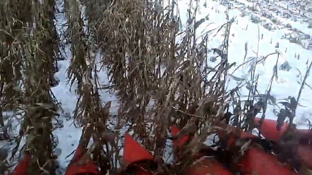 Уборка кукурузы 2016 смотреть онлайн