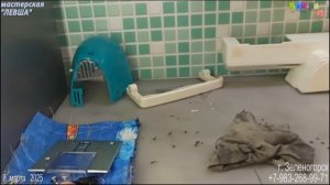 зингер с полным букетом! Мучал и не вышло довести до ума. Жаль, но как есть!